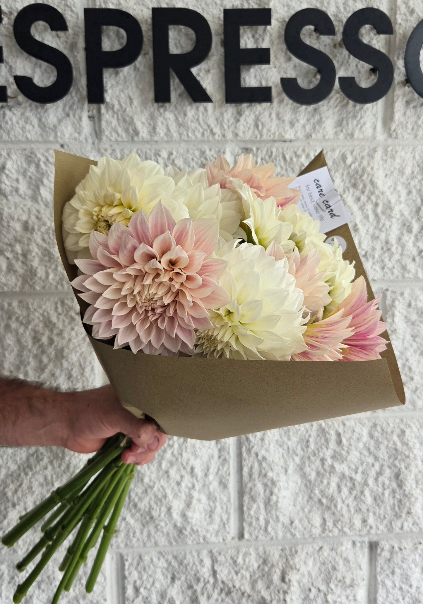 $35 Dahlia Bunch