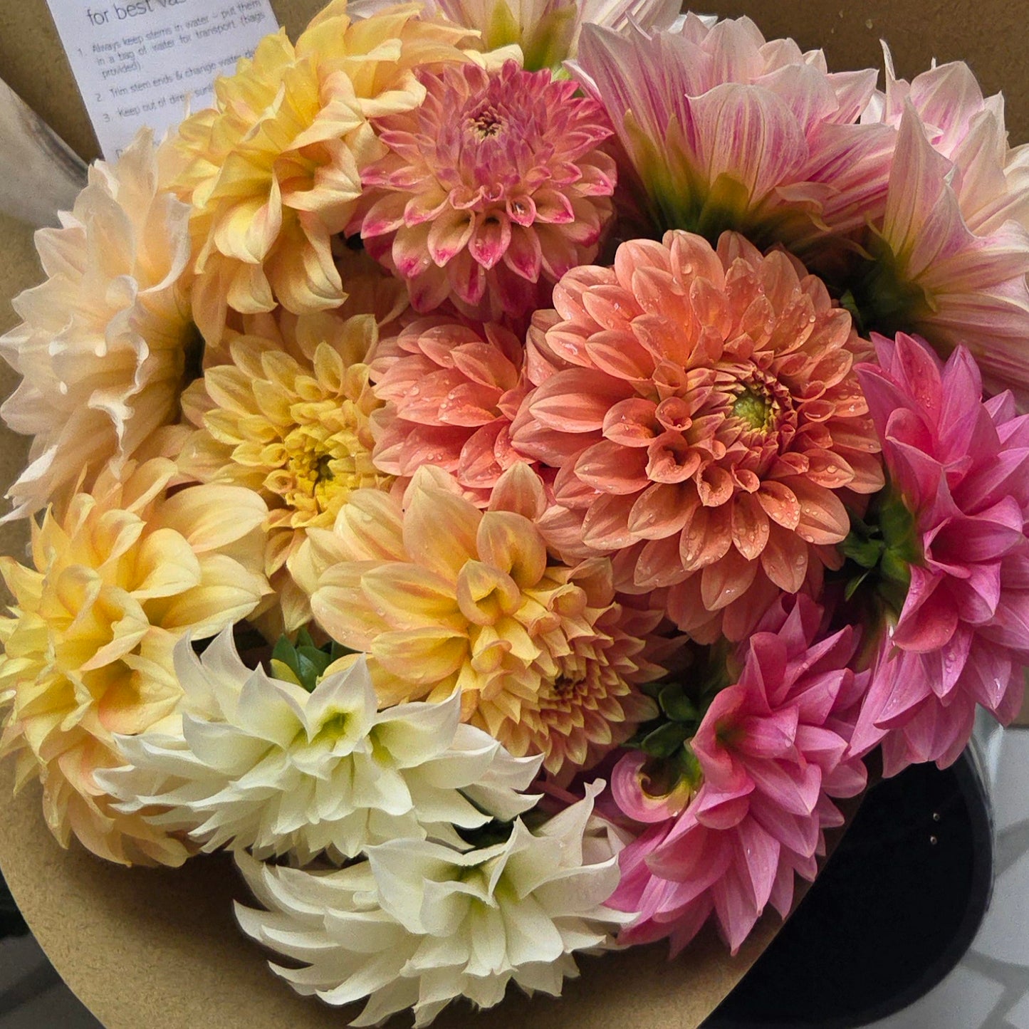 $35 Dahlia Bunch