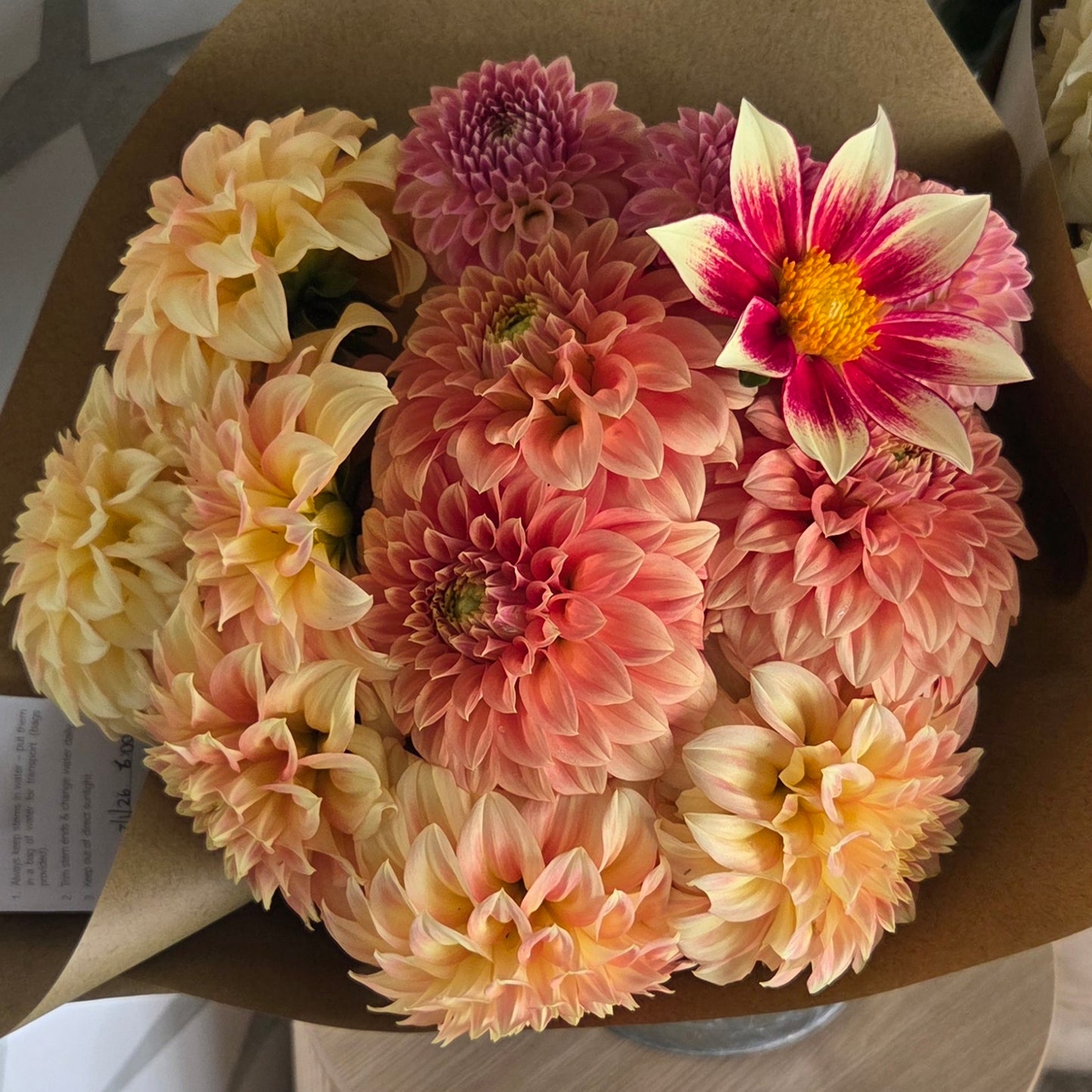 $35 Dahlia Bunch