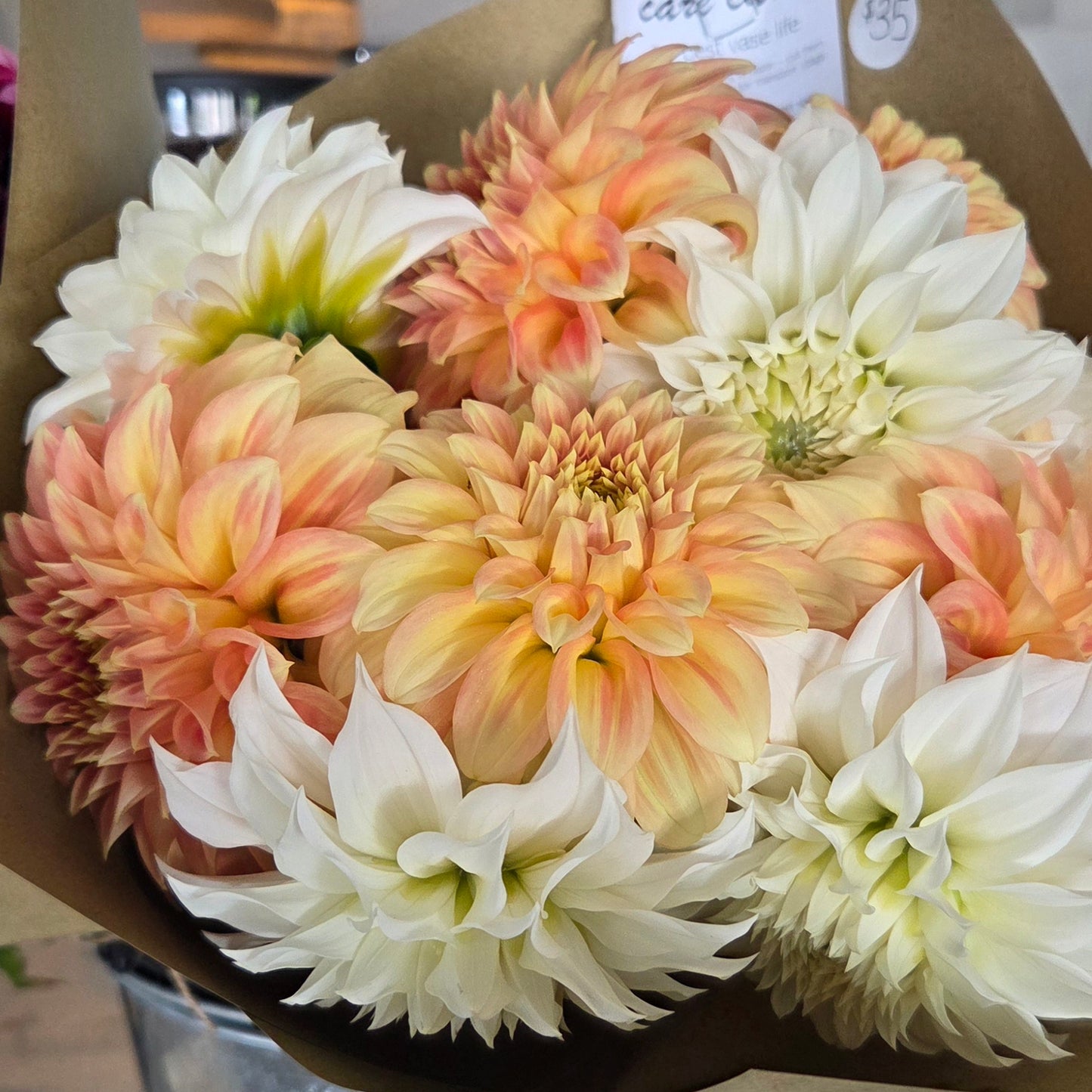 $35 Dahlia Bunch